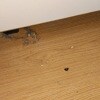 https://cdn-ostrovok-ru-ion.test.edgekey.net/t/100x100/hotel_review/00/1c/001cd365fa38d77a60fe468fc91cfda90a1ee8fa.JPEG
