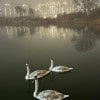 https://cdn-ostrovok-ru-ion.test.edgekey.net/t/100x100/hotel_review/00/45/004503a72f06d2e83663780d1e08f8f3ab93b25f.JPEG