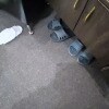 https://cdn-ostrovok-ru-ion.test.edgekey.net/t/100x100/hotel_review/00/8e/008eceeb3c565c0e0f7eb0ded6554c123bf47f72.JPEG