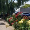 https://cdn-ostrovok-ru-ion.test.edgekey.net/t/100x100/hotel_review/00/b2/00b2a1fb6fc1a011166a229c571c2cf10d0c2806.JPEG