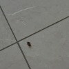 https://cdn-ostrovok-ru-ion.test.edgekey.net/t/100x100/hotel_review/00/d3/00d39d940bc1ff76f9eb1642d941d2af148f3492.JPEG