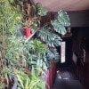 https://cdn-ostrovok-ru-ion.test.edgekey.net/t/100x100/hotel_review/01/0c/010cf3c09f1a796ac4ee593479618acb328ee7d9.JPEG