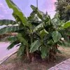 https://cdn-ostrovok-ru-ion.test.edgekey.net/t/100x100/hotel_review/01/0e/010e210b49fd319c64c599af1a8c67357862fa24.JPEG