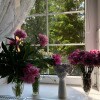 https://cdn-ostrovok-ru-ion.test.edgekey.net/t/100x100/hotel_review/01/17/01172b234d09b574dc100ed5ee97abcfd209ff40.jpeg