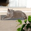 https://cdn-ostrovok-ru-ion.test.edgekey.net/t/100x100/hotel_review/01/5c/015c4413ba85e9dd2b06f2b37c50a6548dde479c.JPEG