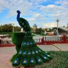 https://cdn-ostrovok-ru-ion.test.edgekey.net/t/100x100/hotel_review/01/69/0169af694afd61fe1416cc9a5aee22482b9b5bbd.jpeg