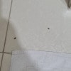 https://cdn-ostrovok-ru-ion.test.edgekey.net/t/100x100/hotel_review/01/8b/018b842dfed45db8544c7fb3b22db1539fe3e6cd.JPEG