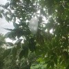 https://cdn-ostrovok-ru-ion.test.edgekey.net/t/100x100/hotel_review/01/a2/01a2182f40ccdc5b32e21b5001f6ad71488a8d30.JPEG