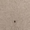 https://cdn-ostrovok-ru-ion.test.edgekey.net/t/100x100/hotel_review/01/ba/01ba9389ff253c14228325e2ec6051c71ffc28f0.JPEG