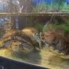 https://cdn-ostrovok-ru-ion.test.edgekey.net/t/100x100/hotel_review/01/e6/01e6bc8bf7e8498f33980b35552af3d84b9304b9.jpeg