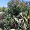 https://cdn-ostrovok-ru-ion.test.edgekey.net/t/100x100/hotel_review/01/f0/01f02db7631523ad3221d739b0eda16f3afc1870.jpeg