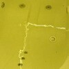 https://cdn-ostrovok-ru-ion.test.edgekey.net/t/100x100/hotel_review/02/6a/026a0371fa47268e6626da8aea87eefd49a8161b.jpeg