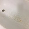 https://cdn-ostrovok-ru-ion.test.edgekey.net/t/100x100/hotel_review/02/6c/026ce8a56584948b1f3cd6d95a767a8f923e1301.jpeg