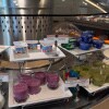 https://cdn-ostrovok-ru-ion.test.edgekey.net/t/100x100/hotel_review/02/6e/026e990a029f70b5c104635328c1fd501da1f187.JPEG