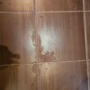 https://cdn-ostrovok-ru-ion.test.edgekey.net/t/100x100/hotel_review/02/91/0291d7dcd8f39150a85a724fa8ba282ba3d9ccb3.JPEG