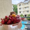 https://cdn-ostrovok-ru-ion.test.edgekey.net/t/100x100/hotel_review/02/a9/02a96fdd976266aeabb7186cf6ee3073254761b1.JPEG