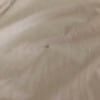 https://cdn-ostrovok-ru-ion.test.edgekey.net/t/100x100/hotel_review/02/d0/02d06ceada60ce311defd3940d36ea88b63e1bce.jpeg
