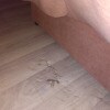 https://cdn-ostrovok-ru-ion.test.edgekey.net/t/100x100/hotel_review/02/f3/02f3165ced80a87c78bf3a608ce3ee64fe76118a.jpeg