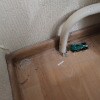 https://cdn-ostrovok-ru-ion.test.edgekey.net/t/100x100/hotel_review/03/11/0311b1562b186bbeaa45e5cd8ba5a10a7fbcab75.JPEG