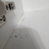 https://cdn-ostrovok-ru-ion.test.edgekey.net/t/100x100/hotel_review/03/2d/032dc86696373cc52d45e3bc8c183bb7b6276485.JPEG