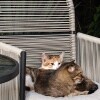 https://cdn-ostrovok-ru-ion.test.edgekey.net/t/100x100/hotel_review/03/a3/03a387f1beeb9f5ba2169b0b1cec15855b629578.JPEG