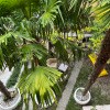 https://cdn-ostrovok-ru-ion.test.edgekey.net/t/100x100/hotel_review/04/01/0401d0bed63a1340f54a2683ccfff7565e54c961.JPEG
