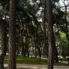 https://cdn-ostrovok-ru-ion.test.edgekey.net/t/100x100/hotel_review/04/1d/041d45488e1c4452710dfe09deda2395f0e1291c.JPEG