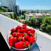 https://cdn-ostrovok-ru-ion.test.edgekey.net/t/100x100/hotel_review/04/6f/046fb1e10b20a6ce89aafc9e6a5fe50670b13f85.JPEG