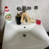 https://cdn-ostrovok-ru-ion.test.edgekey.net/t/100x100/hotel_review/04/7e/047eb9cf7d090ae7d34b7f53ea2a2f8737884e16.JPEG