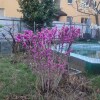https://cdn-ostrovok-ru-ion.test.edgekey.net/t/100x100/hotel_review/04/a3/04a3360ba5f8389f1a9370d29a12d384a513e824.JPEG