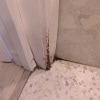 https://cdn-ostrovok-ru-ion.test.edgekey.net/t/100x100/hotel_review/04/b8/04b880e23b26f7d227d538164c7a1b192d17499a.JPEG
