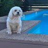 https://cdn-ostrovok-ru-ion.test.edgekey.net/t/100x100/hotel_review/04/ca/04ca4bdf685a162360e9069e7e6ac286ce349698.JPEG