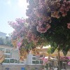 https://cdn-ostrovok-ru-ion.test.edgekey.net/t/100x100/hotel_review/04/de/04de466dd26216229ba0b777ec1f723557d2a0a9.JPEG