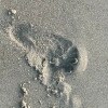 https://cdn-ostrovok-ru-ion.test.edgekey.net/t/100x100/hotel_review/04/f2/04f2a1928dd08c7e10d5c54fd3f79e220c25fcf6.JPEG