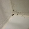 https://cdn-ostrovok-ru-ion.test.edgekey.net/t/100x100/hotel_review/04/fa/04facd889fc722e6f0d615003e76bbe2d94eedb7.JPEG