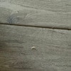 https://cdn-ostrovok-ru-ion.test.edgekey.net/t/100x100/hotel_review/05/03/0503a077dbb81f37996c97d709f9921e3bcd13c0.JPEG