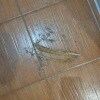 https://cdn-ostrovok-ru-ion.test.edgekey.net/t/100x100/hotel_review/05/59/0559a6bf406db5e041c0de8e5dece293be17c14d.JPEG