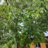 https://cdn-ostrovok-ru-ion.test.edgekey.net/t/100x100/hotel_review/05/89/05899d9a6979ffe93ac2c0ab4c734ea21c913037.JPEG