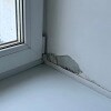 https://cdn-ostrovok-ru-ion.test.edgekey.net/t/100x100/hotel_review/05/98/059869821da6fc6ece04b54baec567db03a97188.JPEG