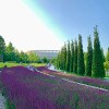 https://cdn-ostrovok-ru-ion.test.edgekey.net/t/100x100/hotel_review/05/a0/05a0177c56571af1fc9fb519249c437c0f25b2bc.JPEG