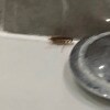 https://cdn-ostrovok-ru-ion.test.edgekey.net/t/100x100/hotel_review/05/b1/05b1e192f23dcca4369d85bef68d71f744e075c6.png