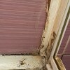 https://cdn-ostrovok-ru-ion.test.edgekey.net/t/100x100/hotel_review/05/b4/05b43336d5375a7fd91f30d7d726c2c3b108154a.JPEG