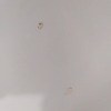https://cdn-ostrovok-ru-ion.test.edgekey.net/t/100x100/hotel_review/05/ba/05ba31397a28b179798bdb901bea5e5189ec0a7c.jpeg