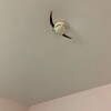 https://cdn-ostrovok-ru-ion.test.edgekey.net/t/100x100/hotel_review/05/eb/05eb648c951ec2182387cdaabc64414518a9dac9.jpeg