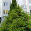 https://cdn-ostrovok-ru-ion.test.edgekey.net/t/100x100/hotel_review/05/ff/05ff0e239b3704c4e63d5e4bc2774a32480d19d2.JPEG