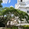 https://cdn-ostrovok-ru-ion.test.edgekey.net/t/100x100/hotel_review/06/0b/060bff17aa109a7839ac824c5bf080790985a0ce.JPEG