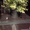 https://cdn-ostrovok-ru-ion.test.edgekey.net/t/100x100/hotel_review/06/35/0635d70bd77d6f85435eeb5bd8a684fd1f232177.JPEG