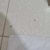 https://cdn-ostrovok-ru-ion.test.edgekey.net/t/100x100/hotel_review/06/44/0644b4b85b31745d7c4513394c30171fe98f3135.JPEG