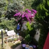 https://cdn-ostrovok-ru-ion.test.edgekey.net/t/100x100/hotel_review/06/87/0687e39c20b4b943588a6741ffadbc81bc702103.jpeg