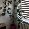 https://cdn-ostrovok-ru-ion.test.edgekey.net/t/100x100/hotel_review/06/a2/06a2e12a611825ca6b6008d15f7a0522b16fe23a.JPEG